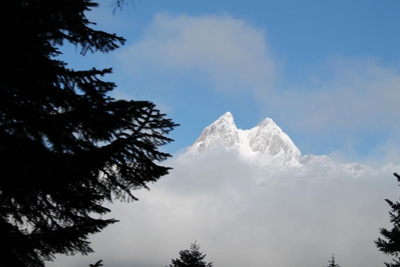 Гостевой дом Mestia Residence Местиа-27